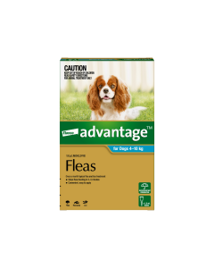 Advantage Dog Medium 4-10kg Aqua