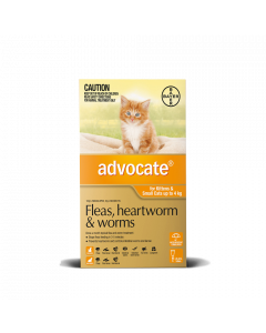 Advocate for cats under 4kg