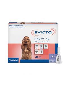 Evicto Dog Medium 10-20kg Purple 4 Pack