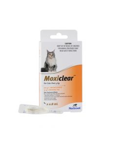 Moxiclear For Cats More Than 4kg Orange