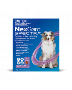 NexGard Spectra Dog Large 15.1-30kg Purple