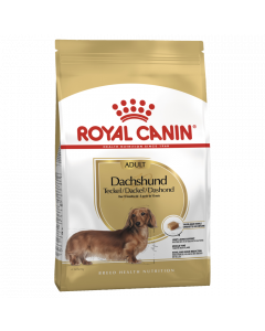 Royal Canin Breed Nutrition Dog Dachshund
