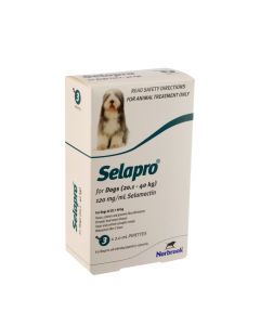 Selapro Dog Large 20-40kg Teal