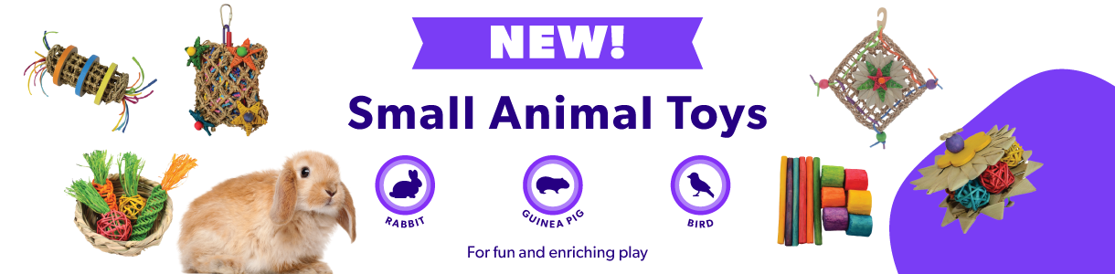 New Small Animal Toys